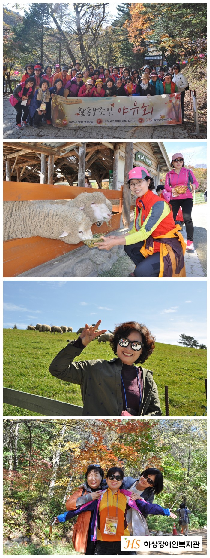 단체사진 / 건초먹이주기 / 대관령양떼목장 / 월정사